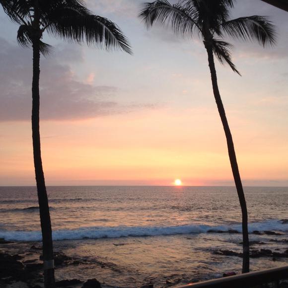 Meet your Posher, David - Picture 1 of 1